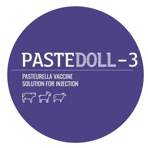 PASTEDOLL-3