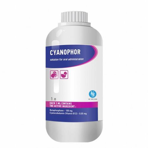 Cyanophor