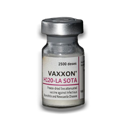 VAXXON® H120-LA SOTA