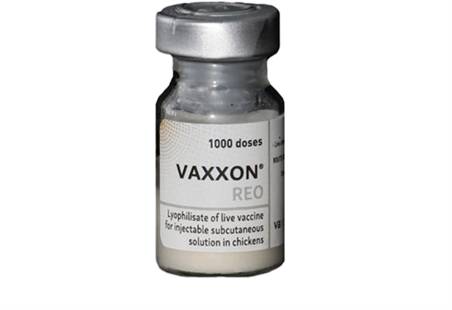 VAXXON REO (موثر در برابر آرتریت ویروسی/ تنوسینوویت سویه S1133 طیور)