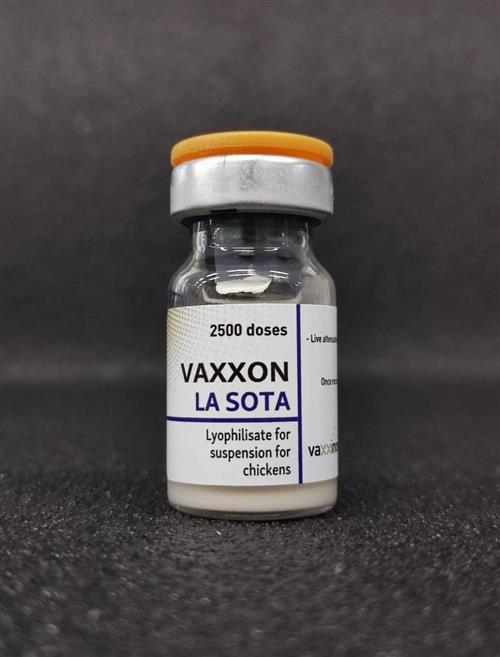 VAXXON LA SOTA