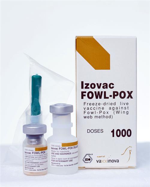 VAXXON POX (مؤثر در برابر ویروس آبله مرغان طیور)