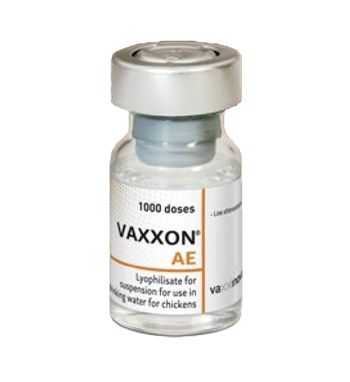 VAXXON AE (مؤثر در برابر آنسفالومیلیت پرندگان)