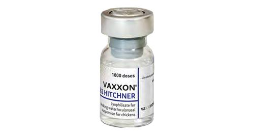 VAXXON B1 HITCHNER (موثر در برابر بیماری‌ نیوکاسل)