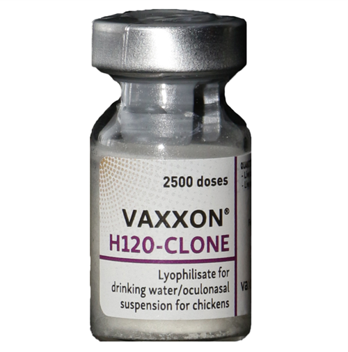 VAXXON H120-CLONE (مؤثر در برابر بیماری‌های برونشیت عفونی و نیوکاسل)