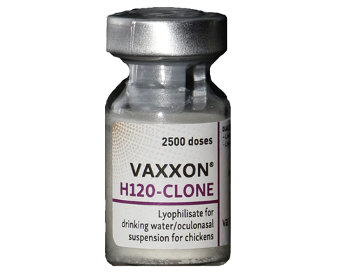 VAXXON H120-CLONE (موثر در برابر بیماری‌های برنشیت عفونی و نیوکاسل)