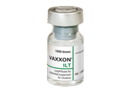 VAXXON ILT (مؤثردر برابر لارنگوتراکئیت عفونی درطیور)