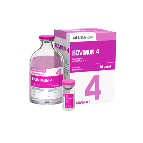 BOVIMUN 4