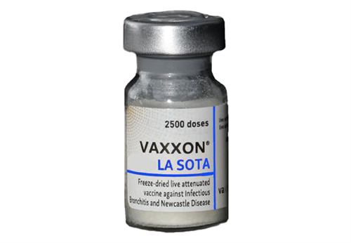 VAXXON LA SOTA (موثر در برابر بیماری نیوکاسل طیور)