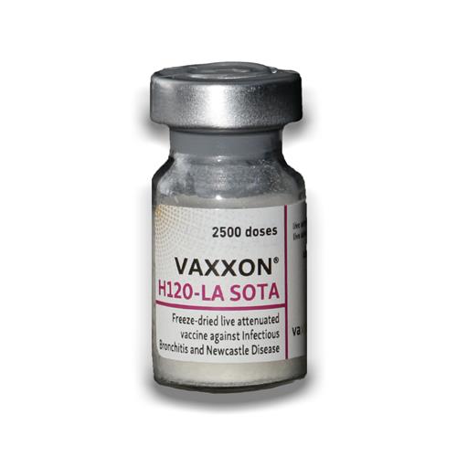 vaxxon® h120-la sota vaxxon® h120-la sota